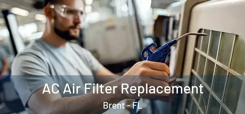 AC Air Filter Replacement Brent - FL
