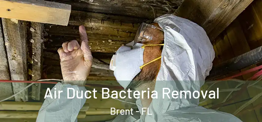 Air Duct Bacteria Removal Brent - FL
