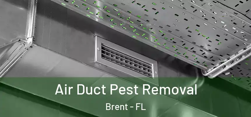 Air Duct Pest Removal Brent - FL
