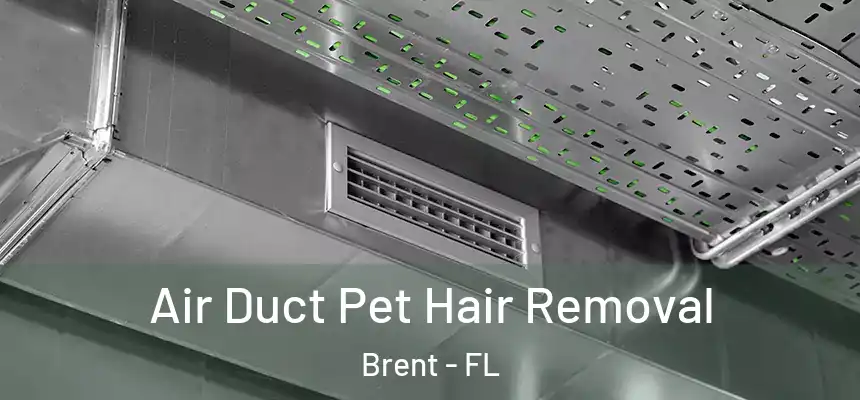 Air Duct Pet Hair Removal Brent - FL