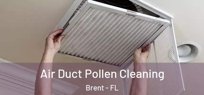 Air Duct Pollen Cleaning Brent - FL
