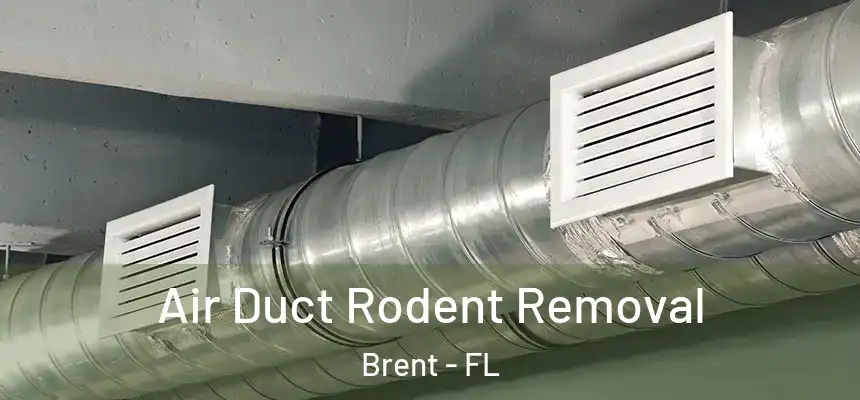 Air Duct Rodent Removal Brent - FL