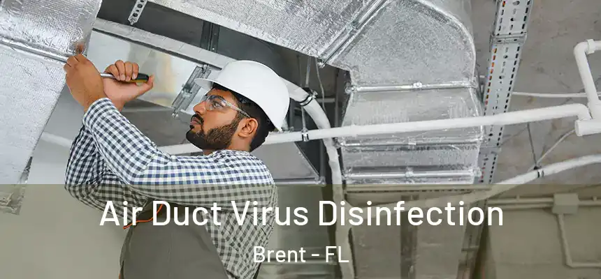 Air Duct Virus Disinfection Brent - FL
