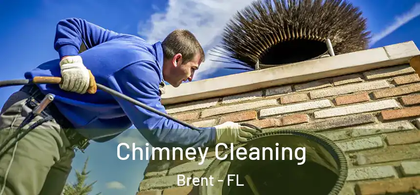  Chimney Cleaning Brent - FL