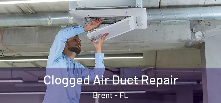 Clogged Air Duct Repair Brent - FL