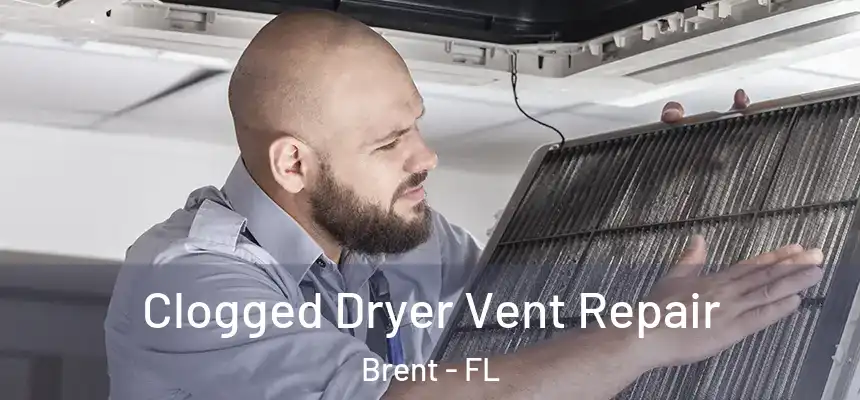  Clogged Dryer Vent Repair Brent - FL