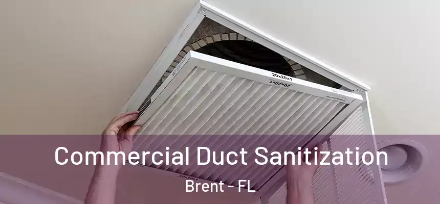 Commercial Duct Sanitization Brent - FL