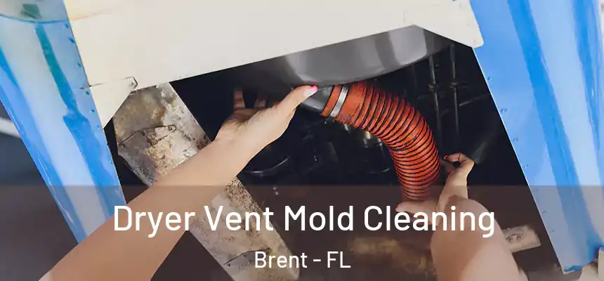 Dryer Vent Mold Cleaning Brent - FL