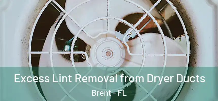 Excess Lint Removal from Dryer Ducts Brent - FL