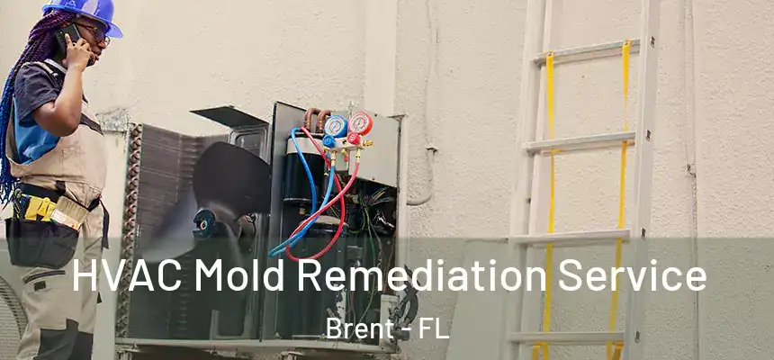 HVAC Mold Remediation Service Brent - FL