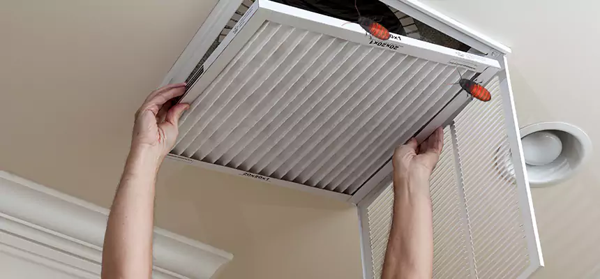Preventive Cockroach-Proofing for Ducts in Brent
