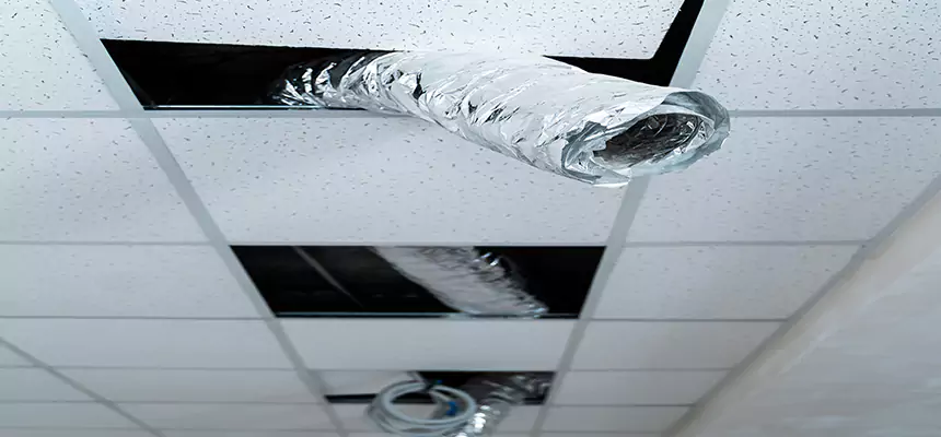Affordable HVAC Sanitizing After Pest Removal in Brent
