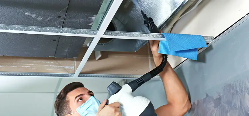 Our Air Duct Rodent Removal Services in Brent, FL