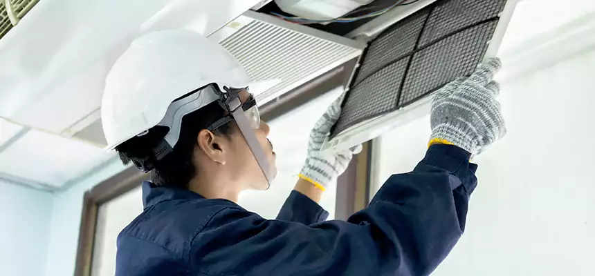 Our Mold & Mildew Removal from Air Ducts Services in Brent, FL