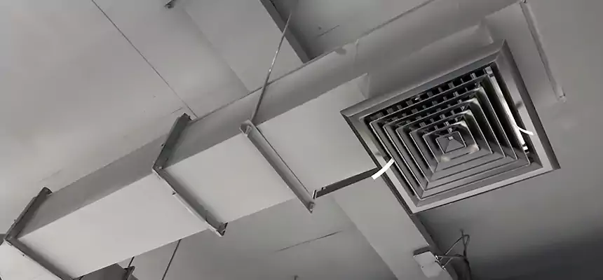 Our Rodent Droppings In Vents Services in Brent, FL