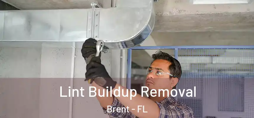 Lint Buildup Removal Brent - FL