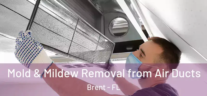 Mold & Mildew Removal from Air Ducts Brent - FL