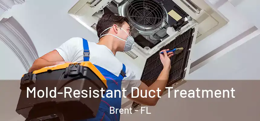 Mold-Resistant Duct Treatment Brent - FL