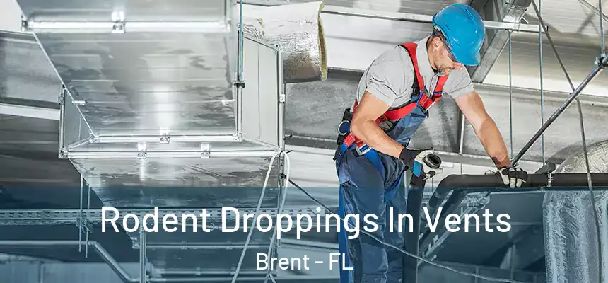  Rodent Droppings In Vents Brent - FL