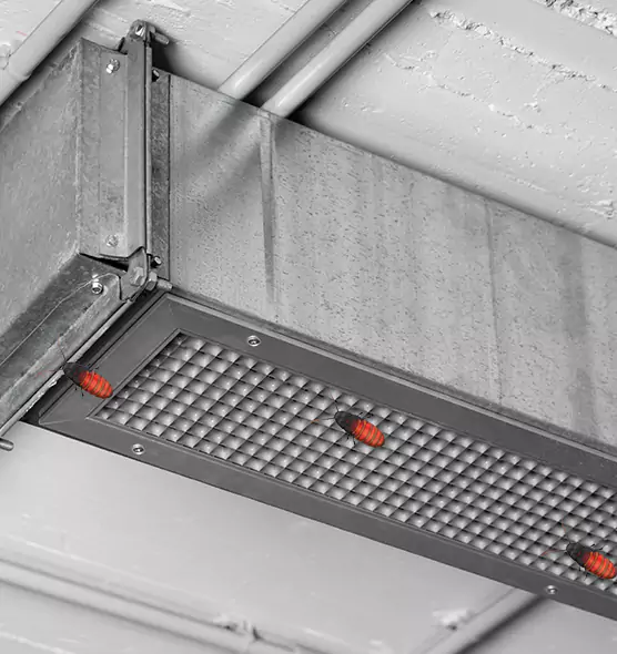 About Air Duct Cockroach Removal in Brent, FL