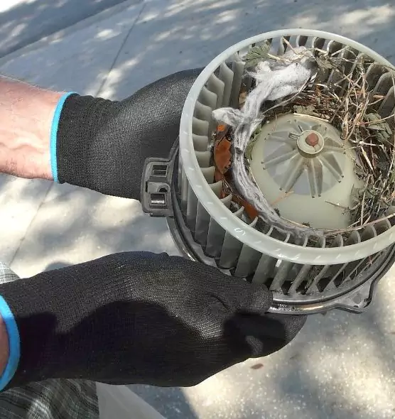 About Air Duct Rat Removal in Brent, FL