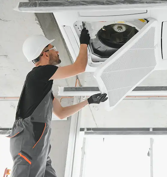About Air Duct Rodent Removal in Brent, FL