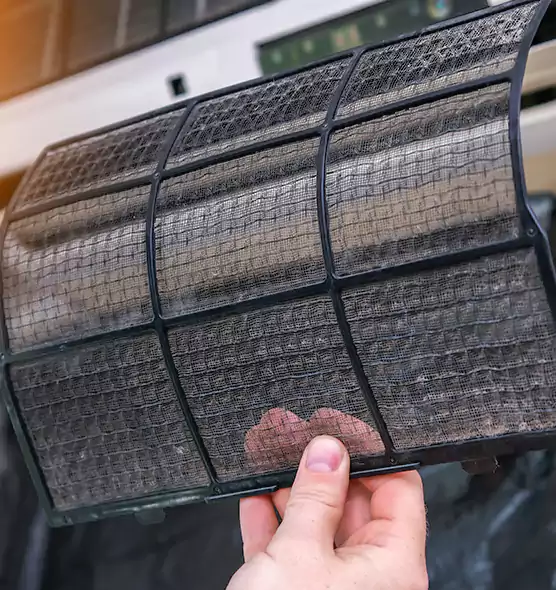About Pet Dander Duct Cleaning in Brent, FL