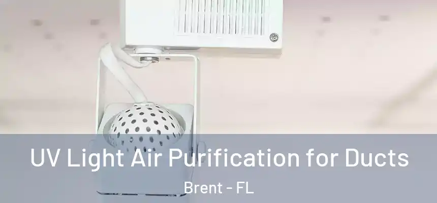 UV Light Air Purification for Ducts Brent - FL